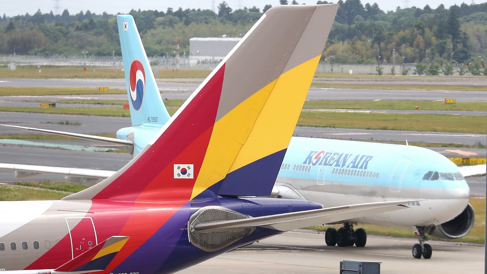 アシアナはどこへ､吹き荒れる韓国航空大再編 買収断念なら大韓航空｢一強体制｣の可能性 | 韓国･北朝鮮 | 東洋経済オンライン