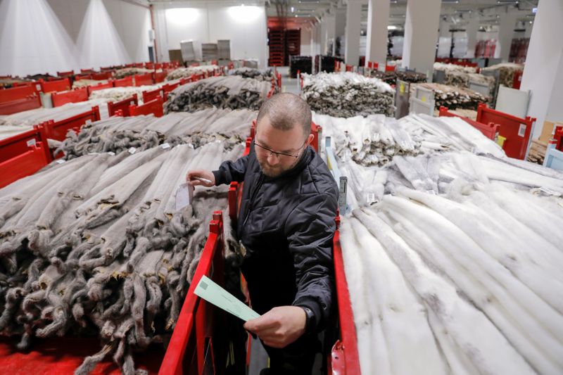 ミンク大量殺処分の衝撃､ヨーロッパの毛皮産業は大混乱に｜会社四季報