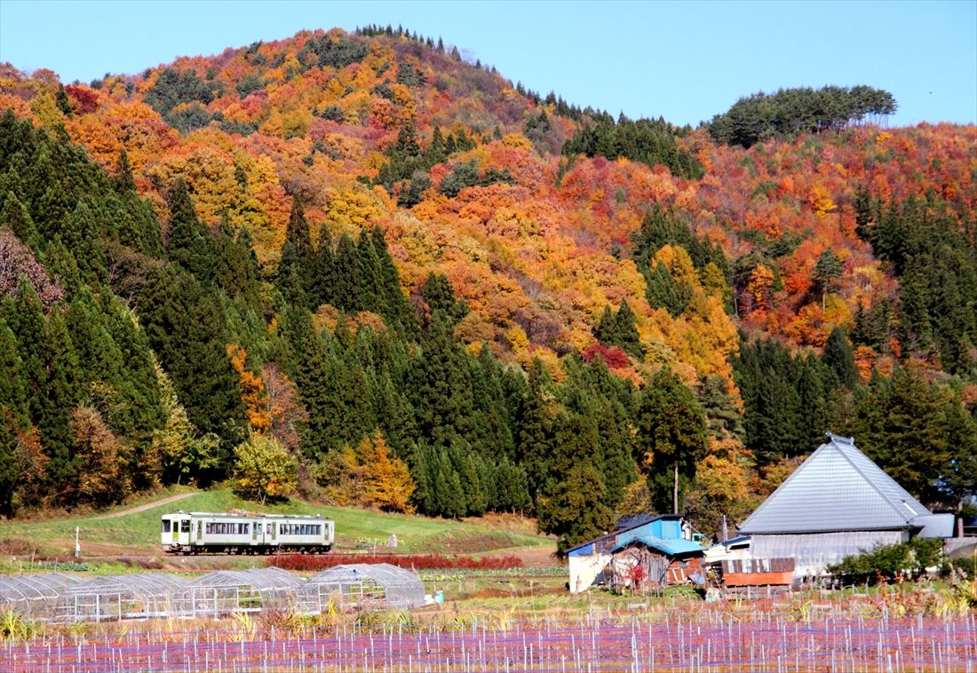 現在はディーゼルカーが軽快に走る花輪線（撮影：南正時）