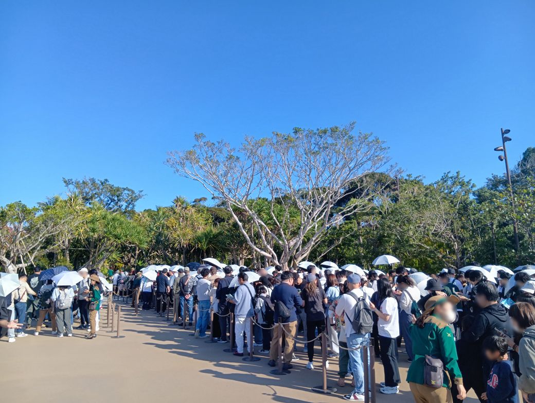 筆者は9時30分からパーク入り口の列に並び、10時開園と同時に整理券の配布場所へ向かった（写真：筆者撮影）