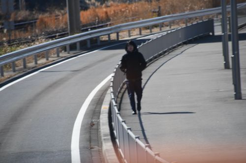 車道と歩道を隔ている柵はかなりの高さがあるが、飛び出し回避のためセンサーが検知する（記者撮影）