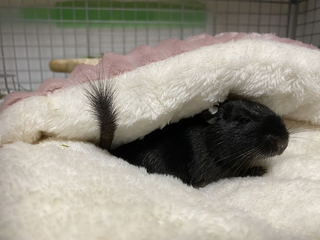 （写真：みきさん）