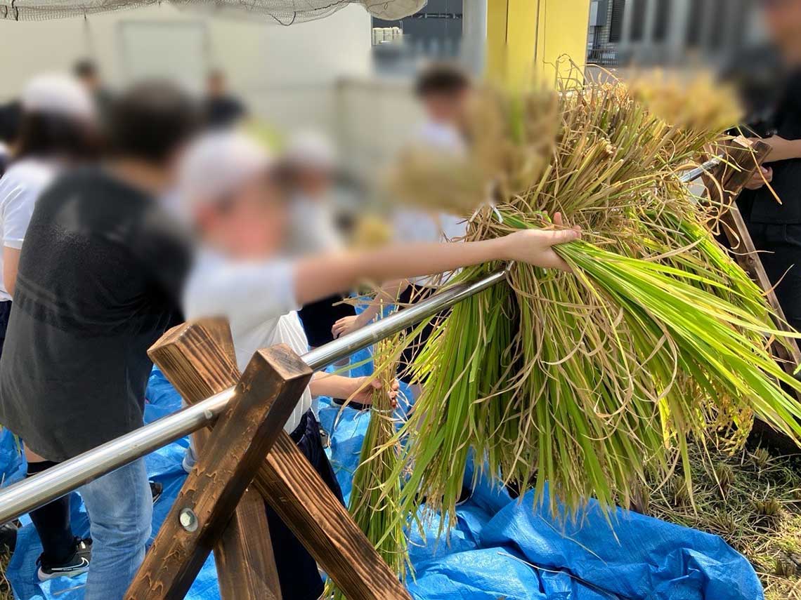 乾燥のため「はざかけ」する子ども