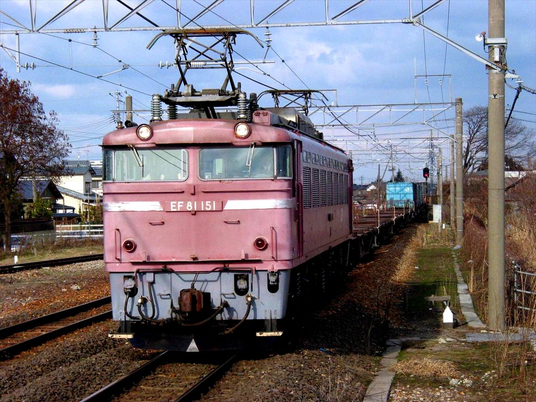 白新線を走るEF81形牽引のコンテナ貨物列車（撮影：南正時）