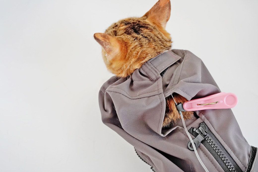 ねこずきのおくるみ（写真：クロス・クローバー・ジャパン）