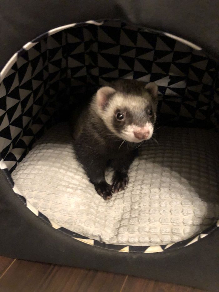 （写真提供：ミキさん）