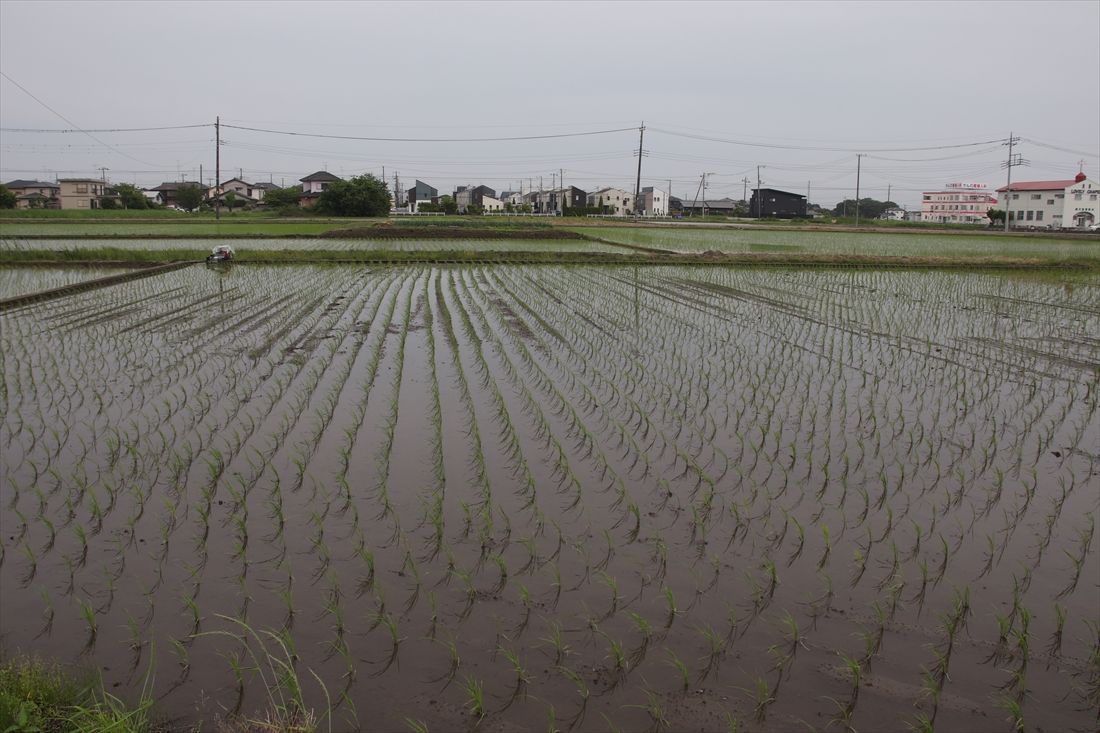 藤代駅周辺は住宅地と田園地帯が混在していてのどかな景色。取手駅に比べて列車が少ないせいか？（筆者撮影）