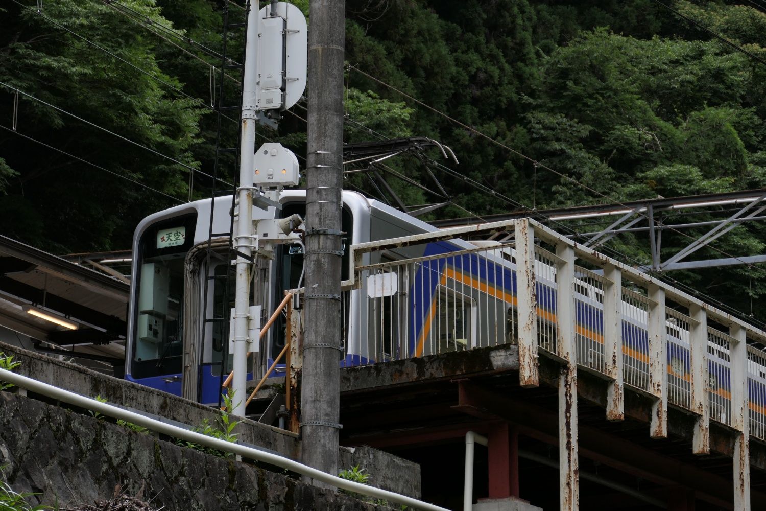 南海電鉄　観光列車「天空」