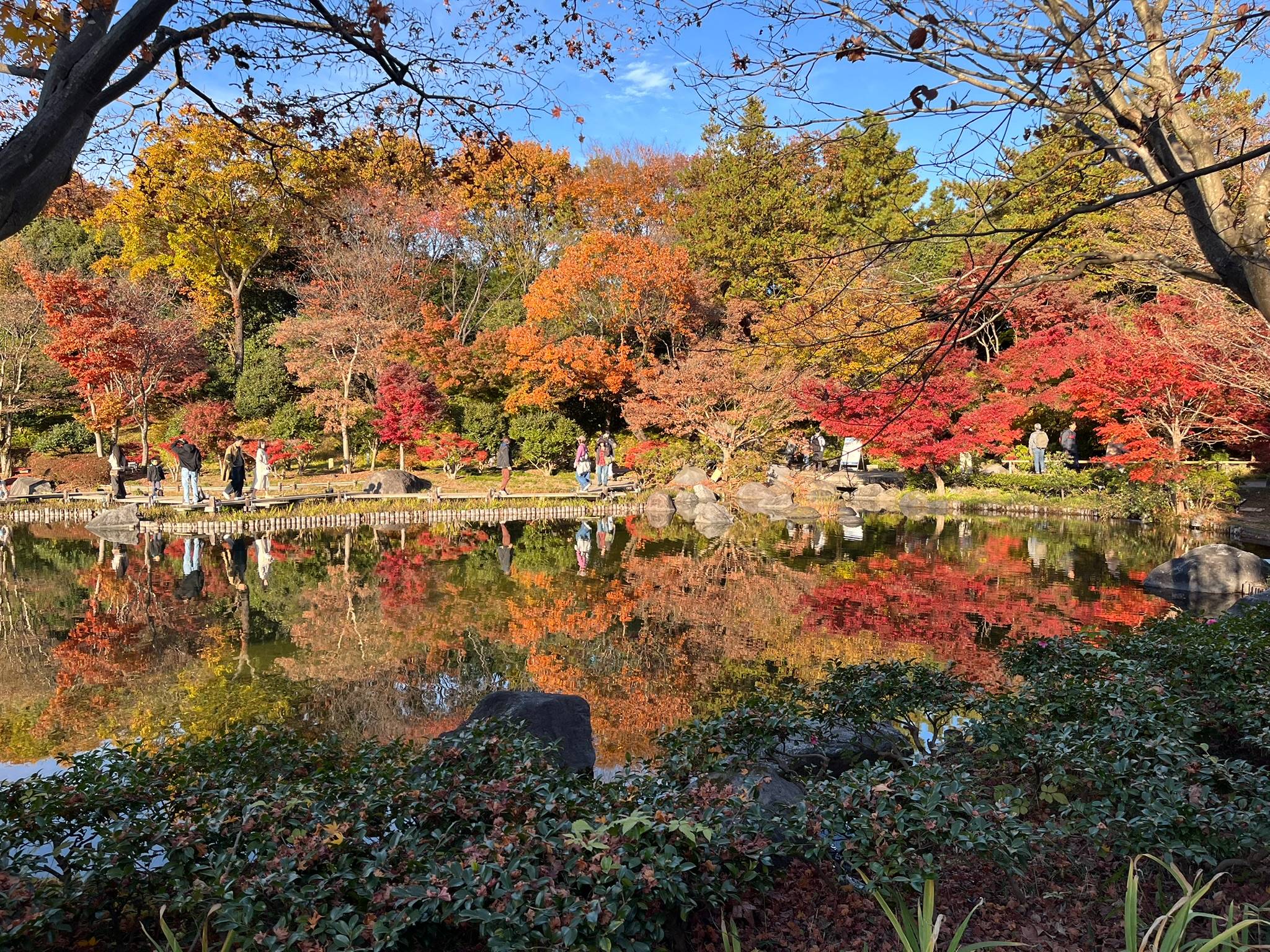 国営昭和記念公園