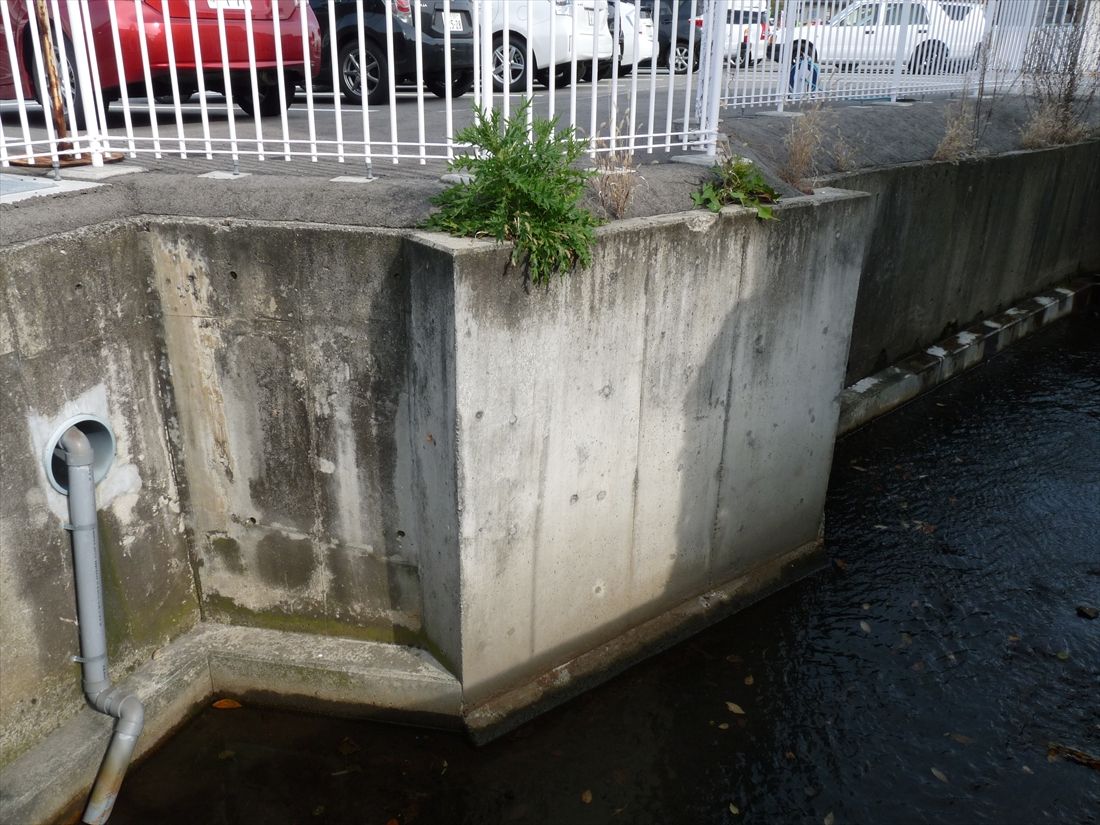 飯田～成沢：住宅街のなかを流れる小川。コンクリート擁壁が出っ張っている部分は蔵王高速電鉄のルートと重なっているようで、鉄道用の橋台を覆うようにして擁壁を整備したため出っ張ってしまったのだろうか（筆者撮影）