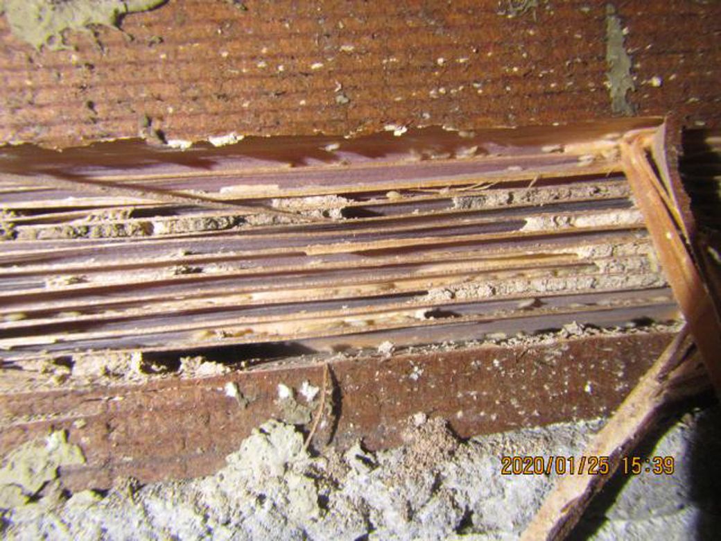 シロアリ被害による家屋倒壊