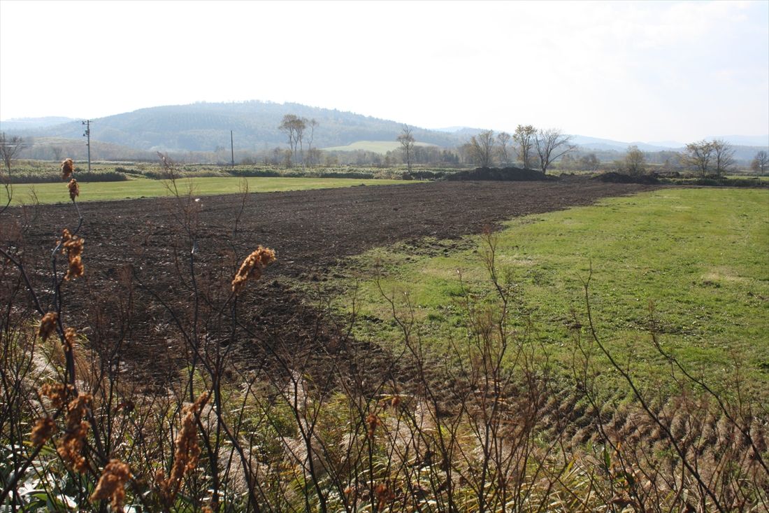 上徳志別駅の旧予定地（黒い土の部分）にあった路盤は撤去工事が完了して農地に戻されたばかりだった（筆者撮影）