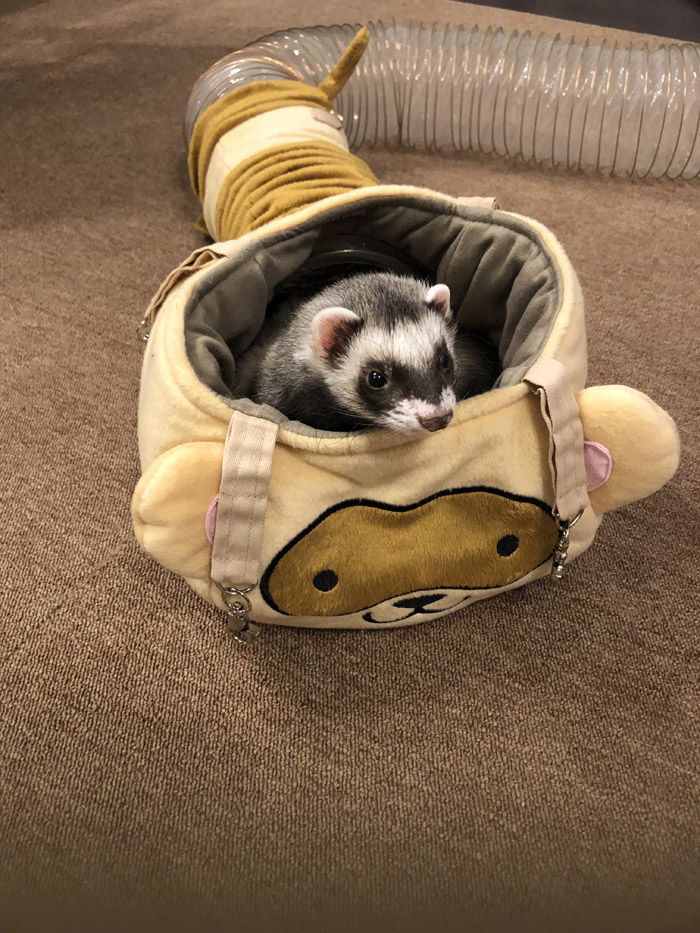 （写真提供：ミキさん）