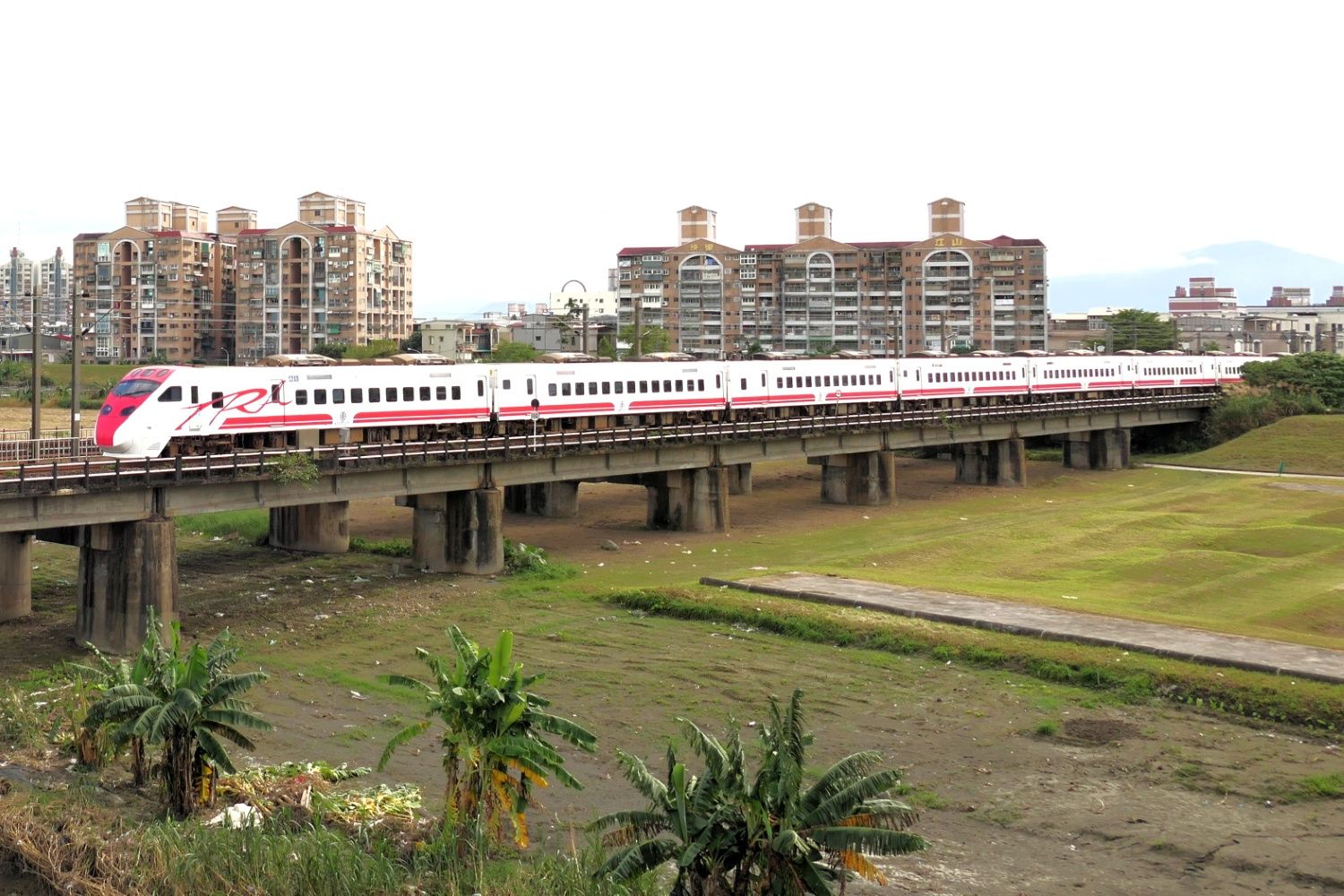 台鉄の特急車両、TEMU2000型「普悠瑪（プユマ）」（記者撮影）