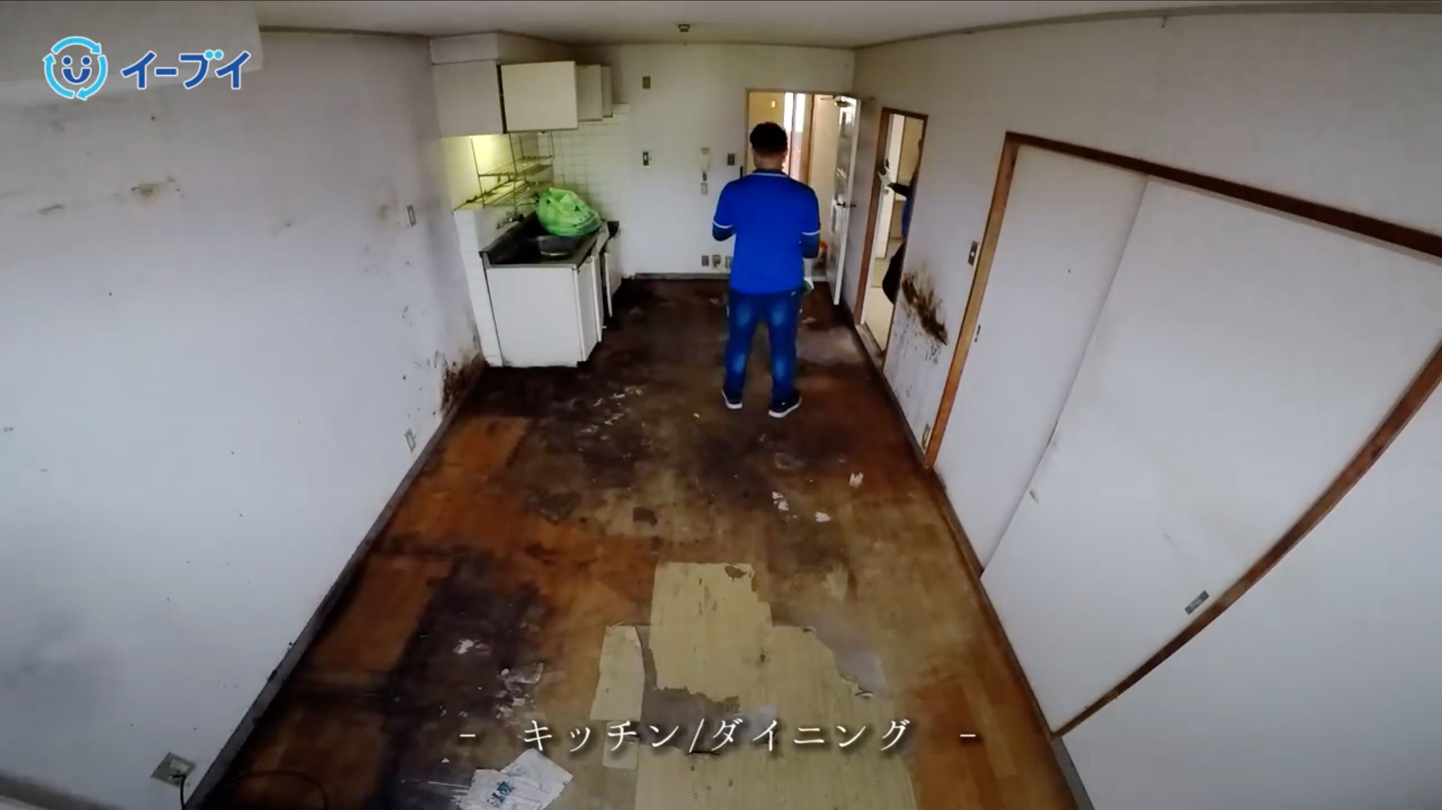 ゴミ屋敷