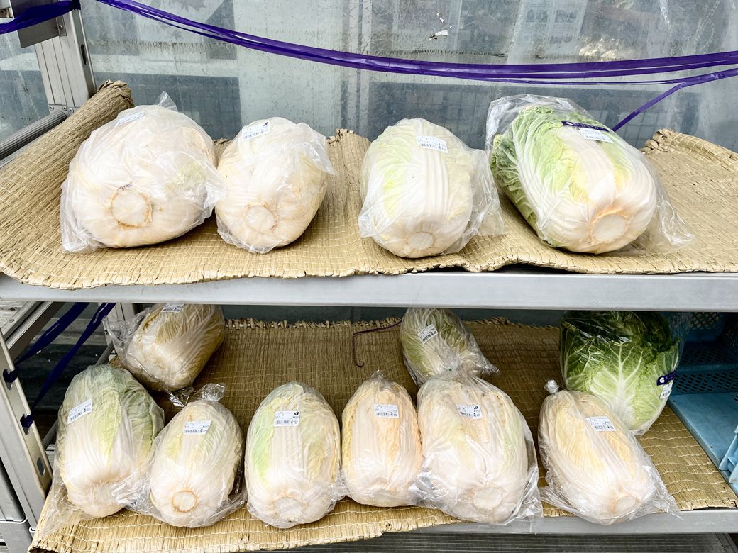 「マインズショップ狛江店」では、旬の地場農産物が売られている。この日は白菜コーナーがあった（筆者撮影）