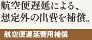 航空便遅延による、想定外の出費を補償。