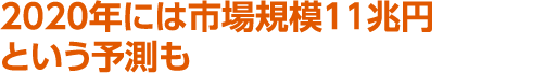 2020年には市場規模11兆円という予測も