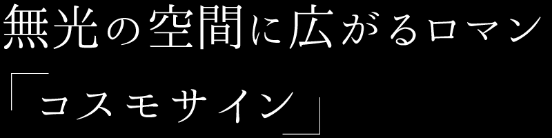 無光の空間に広がるロマン コスモサイン