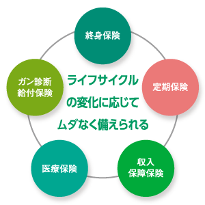 ライフサイクル