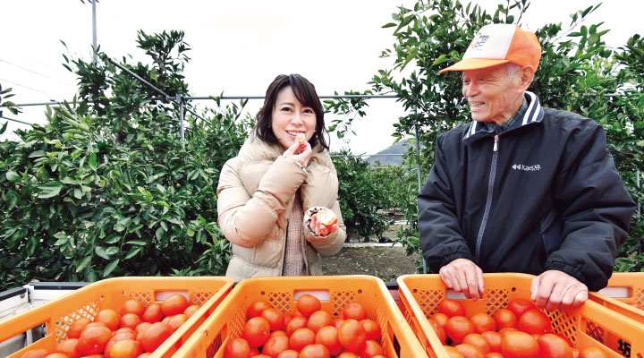 見て食べて 二度驚く紅さと甘さ 香川が生んだ 奇跡のミカン Jaグループ 東洋経済オンライン
