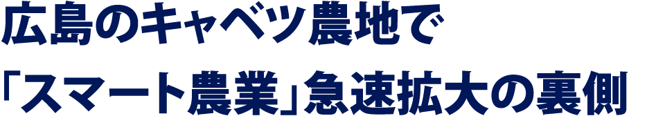 広島のキャベツ農地で「スマート農業」急速拡大の裏側