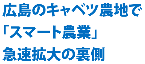 広島のキャベツ農地で「スマート農業」急速拡大の裏側